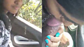 Gorgeous Indian woman performs oral sex on me while driving