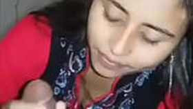 Indian girlfriend performs passionate oral sex on her boyfriend