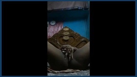 A South Asian amateur girl masturbates her vagina