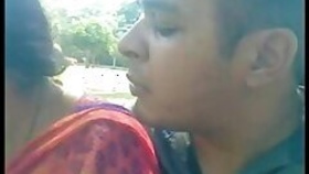 Indian love birds in the park